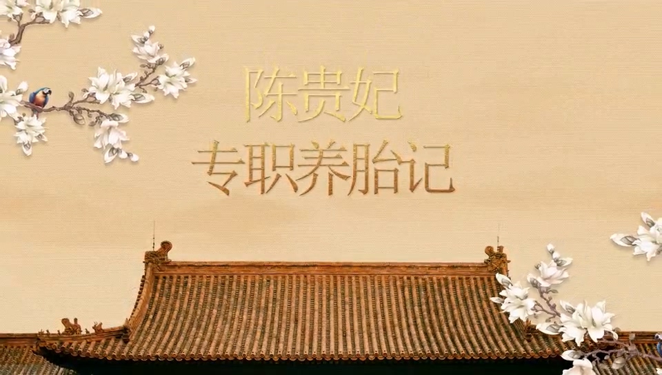 駐馬店市中醫(yī)院：《陳貴妃專職養(yǎng)胎記》