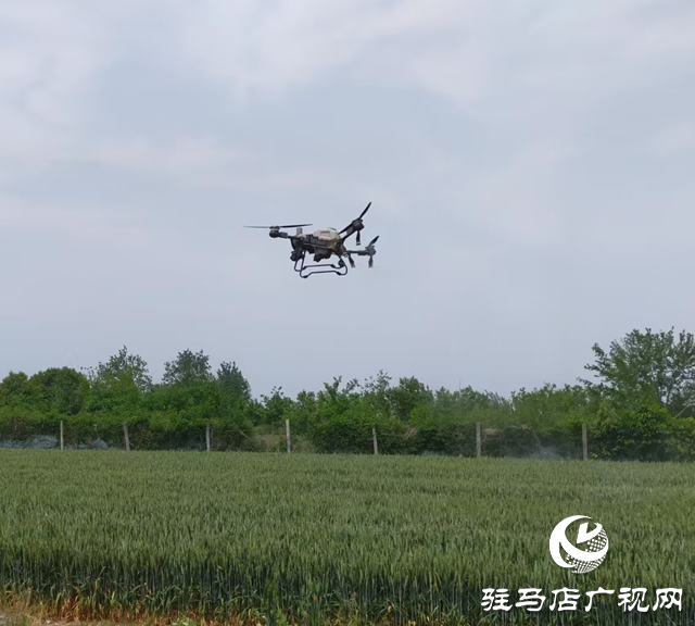  經(jīng)濟(jì)開發(fā)區(qū)關(guān)王廟鄉(xiāng)：做好小麥“一噴三防” 助力小麥豐產(chǎn)增收