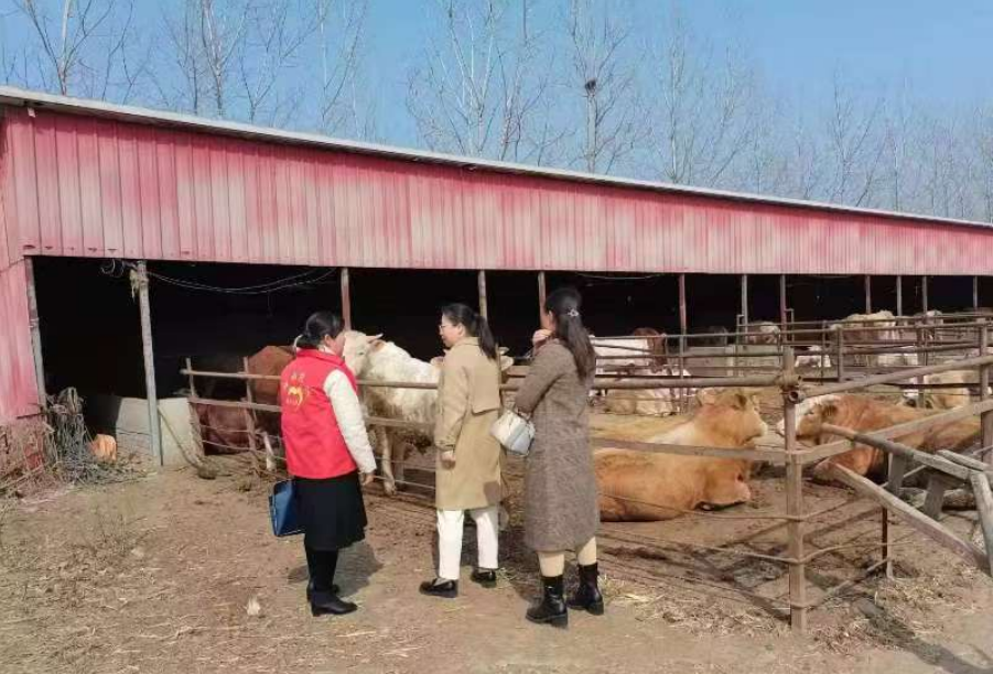 駐馬店市動物疫病防疫檢疫中心發(fā)布2025年5月份動物疫病預(yù)警預(yù)報