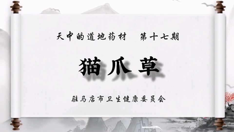 天中道地藥材——貓爪草