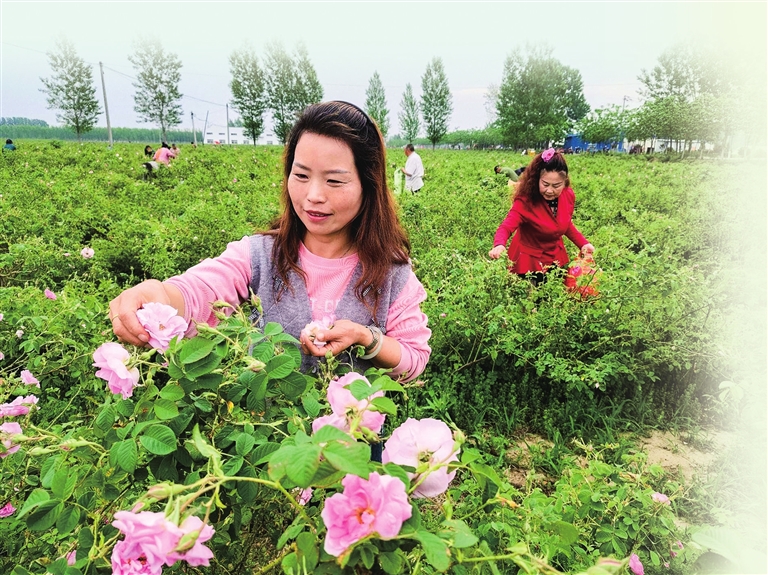 文旅融合助力鄉(xiāng)村振興
