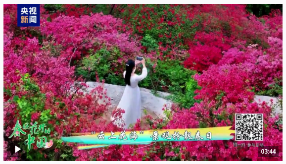 春暖花開的中國丨來看中原大地絕美的暮春畫卷