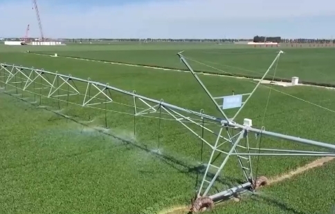 AI大模型助力糧食生產(chǎn) 我國夏糧進(jìn)入產(chǎn)量形成關(guān)鍵期