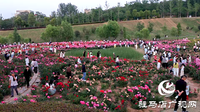 綠意蔥蘢花滿城！確山縣住建局精心打造“城市大花園”