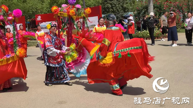 泌陽彩帶舞龍隊“舞”進南陽月季園 共赴文化交流之約
