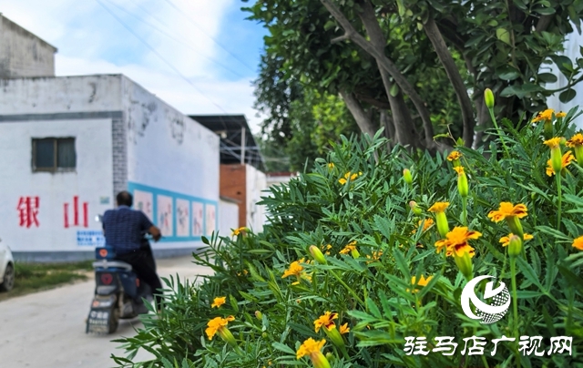 泌陽(yáng)縣黃山口鄉(xiāng)：宜居鄉(xiāng)村宜共建，美好生活?yuàn)^斗來(lái)