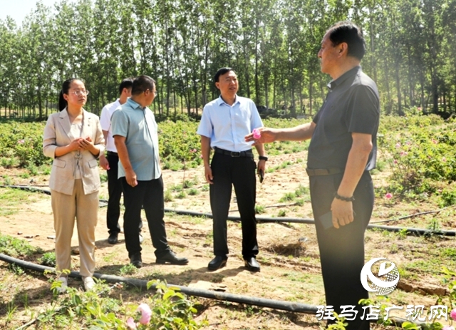 泌陽：黨建引領促振興 “紅色引擎”譜新篇