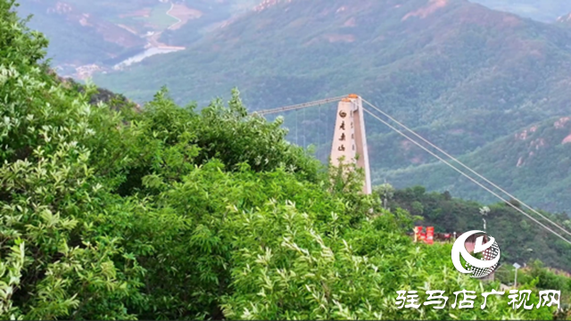 母親節(jié)期間 駐馬店老樂山景區(qū)推出“女性免費游”活動