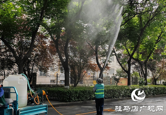 駐馬店經濟開發(fā)區(qū)：開展蚜蟲專項防治 千棵行道樹“清蟲煥綠”