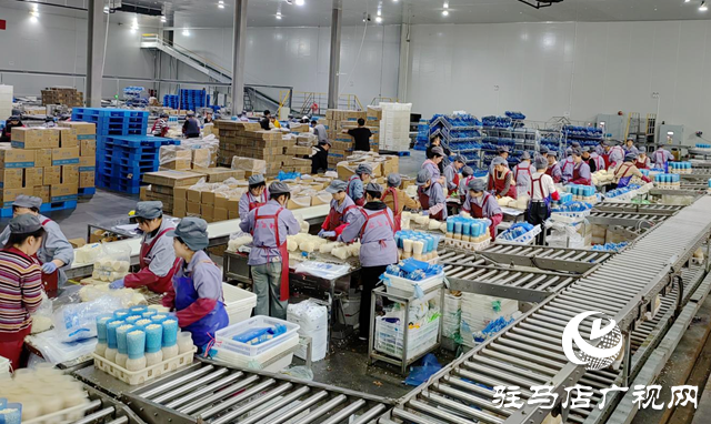 泌陽縣：推動項目建設提質增效 為經濟振興積蓄更強動能