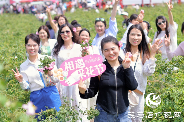  夢莉嬌采花節(jié)：綻放鄉(xiāng)村振興新圖景