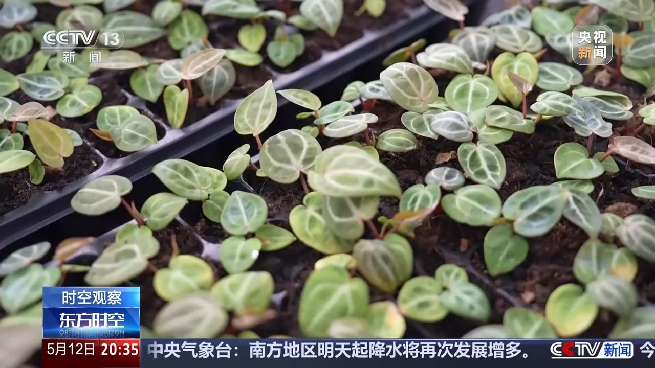花錢(qián)開(kāi)心 今天你“情緒消費(fèi)”了嗎？