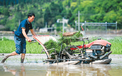 到2030年建成13.5億畝高標準農(nóng)田 將帶來什么改變