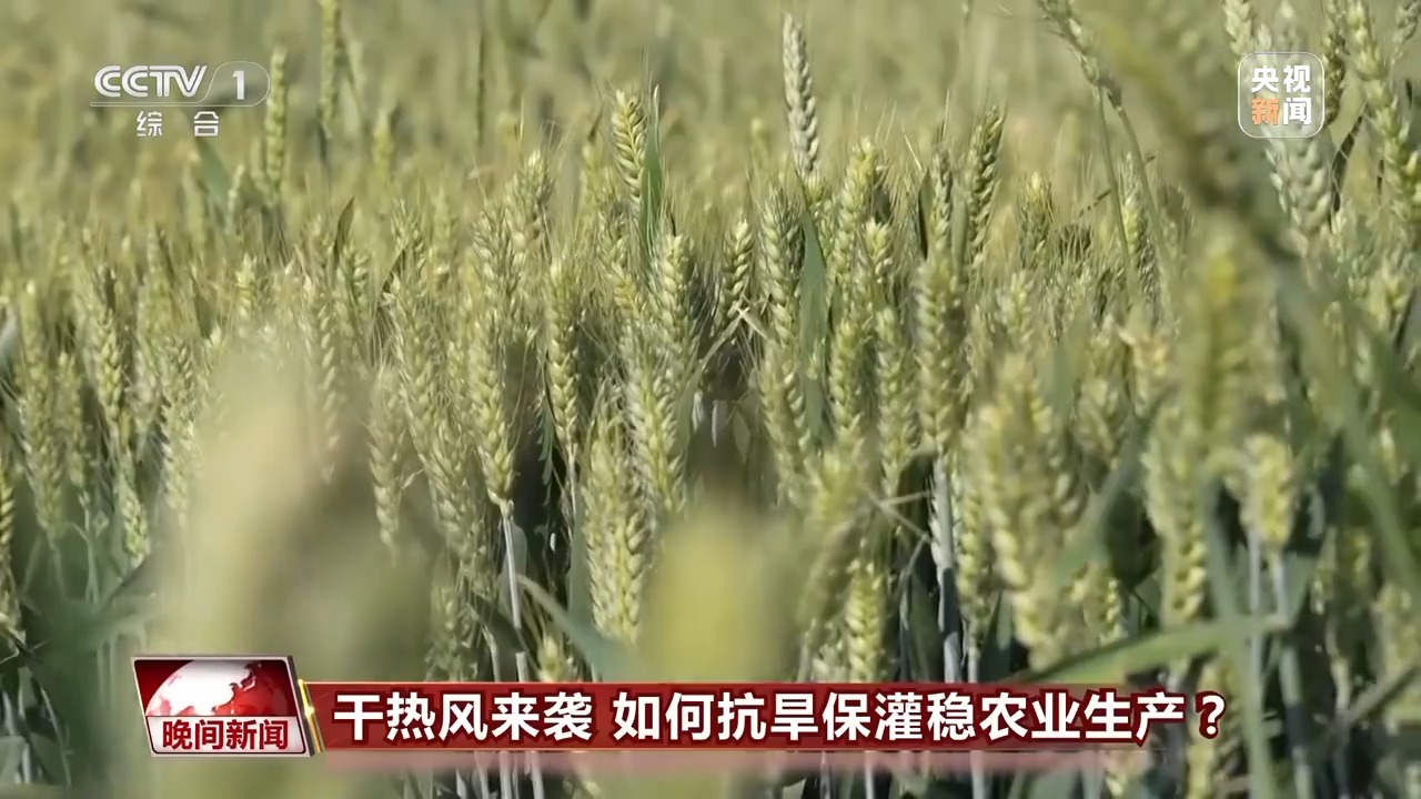 干熱風來襲 如何抗旱保灌穩(wěn)農業(yè)生產？