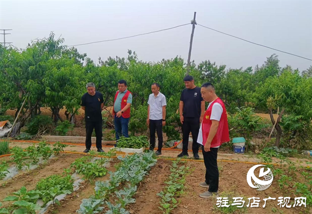  經(jīng)濟(jì)開發(fā)區(qū)金山辦事處組織開展禁種鏟毒集中踏查活動(dòng)