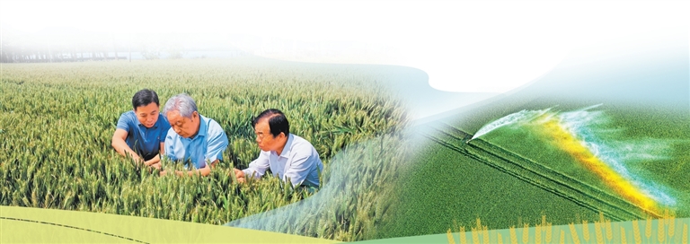 抗旱保麥戰(zhàn) 河南這么打