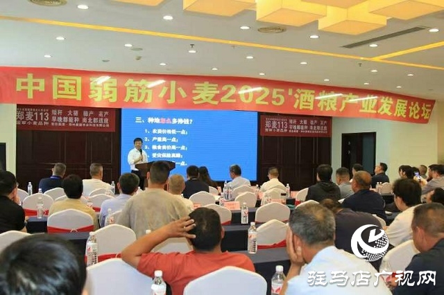 中國弱筋小麥2025'酒糧產(chǎn)業(yè)發(fā)展論壇在新蔡縣舉行
