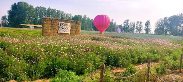 駐馬店驛城區(qū)魏莊村“天邊花?！奔磳⒛?打造豫南文旅新地標(biāo)