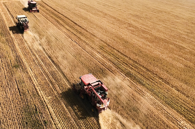 驛城區(qū)：60多萬畝小麥開鐮收割