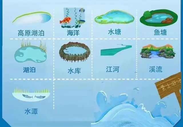 應(yīng)急時(shí)刻|野游，竟腳綁啞鈴……