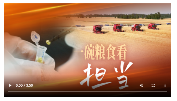 一碗糧食看擔(dān)當(dāng)丨牢記囑托“豫”爭(zhēng)先
