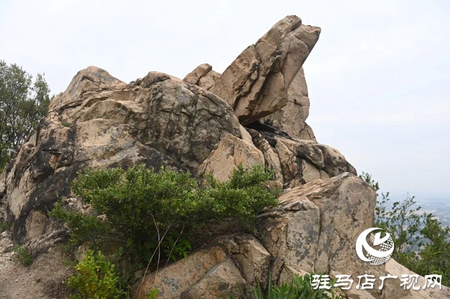 ?探秘泌陽羅漢山：藏在山野間的詩意秘境