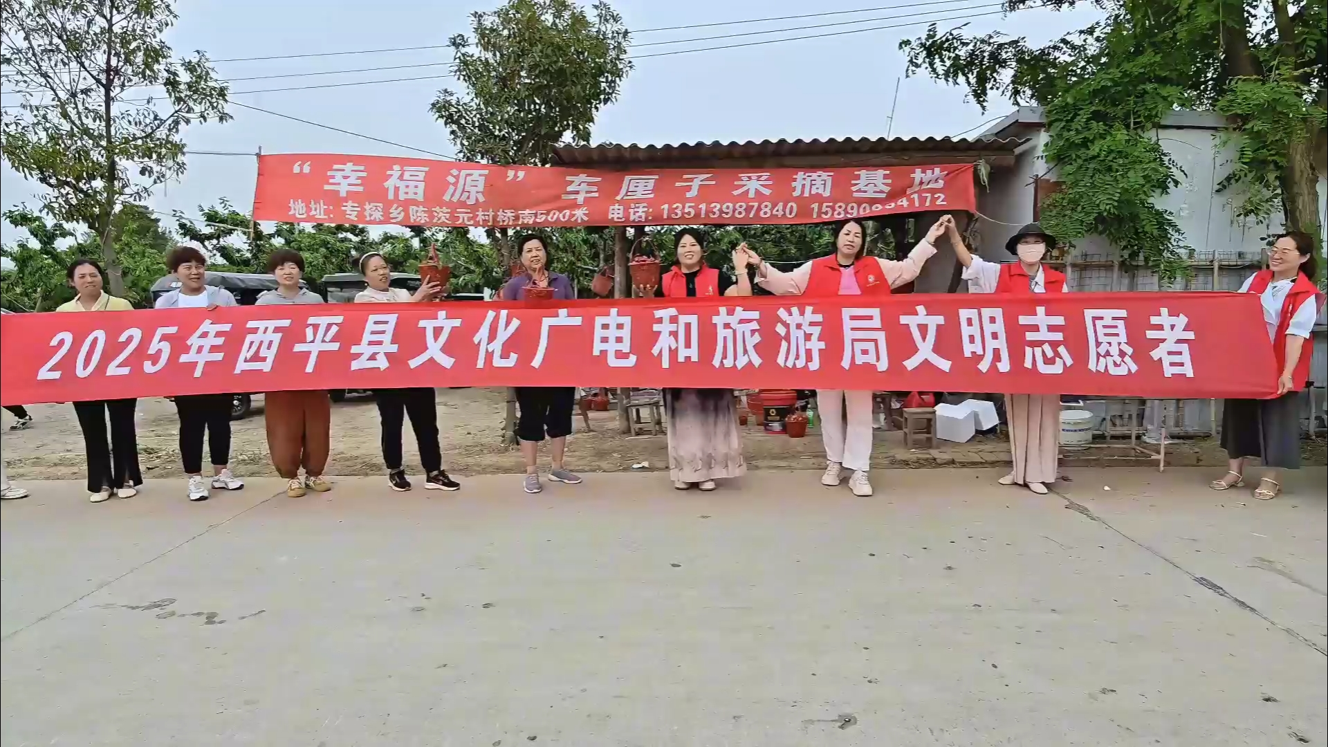  “櫻”為有你 生活美好：西平縣文旅志愿者助力果農(nóng)開(kāi)啟甜蜜豐收季