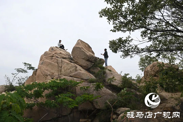 ?探秘泌陽羅漢山：藏在山野間的詩意秘境