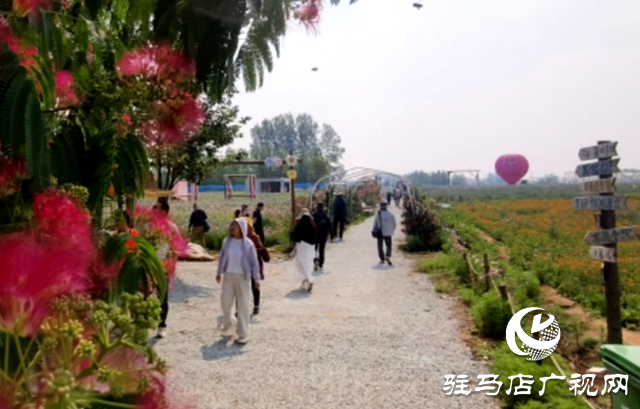 駐馬店驛城區(qū)魏莊村：百畝花?？楀\繡 文旅新篇引客來(lái)