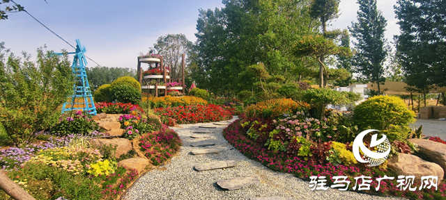 駐馬店驛城區(qū)魏莊村：百畝花?？楀\繡 文旅新篇引客來(lái)