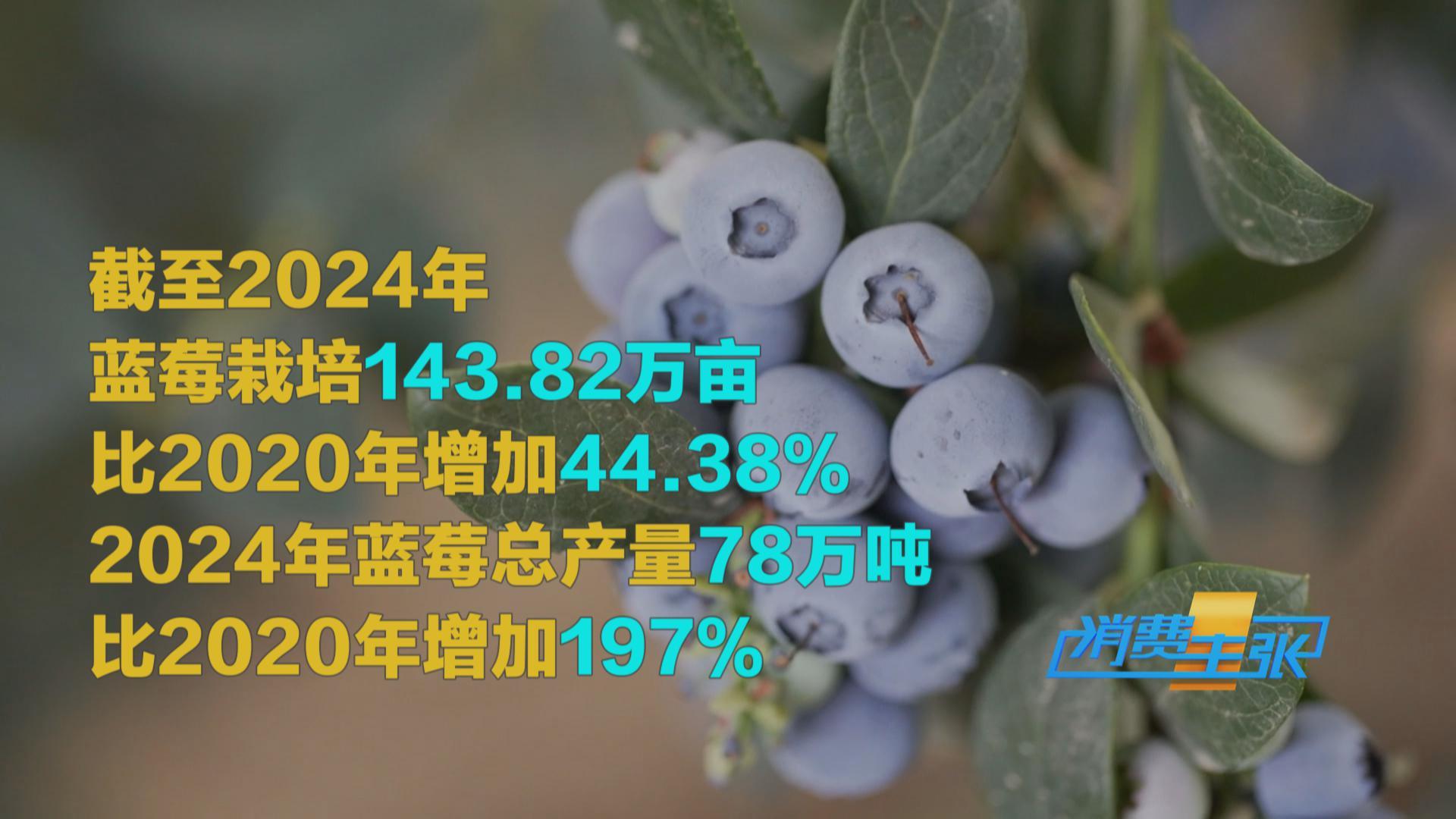 榴蓮價格走低 首批國產(chǎn)“樹上熟”榴蓮也將上市！口感如何？