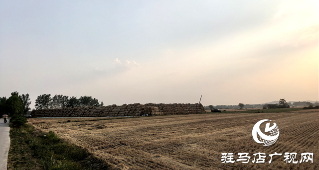 確山縣劉店鎮(zhèn)：科技助力夏收 干群共護(hù)麥田