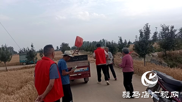 平輿縣廟灣鎮(zhèn)：“三夏”時節(jié)飄蕩“志愿紅”