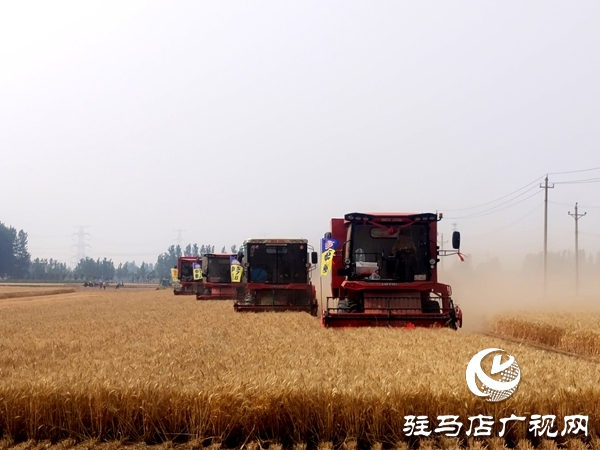 平輿縣開展2025年小麥機(jī)收減損大比武活動    