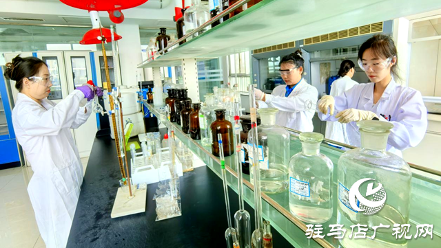 科技創(chuàng)新領(lǐng)航 政策賦能護(hù)航 駿化發(fā)展書寫高質(zhì)量發(fā)展新答卷