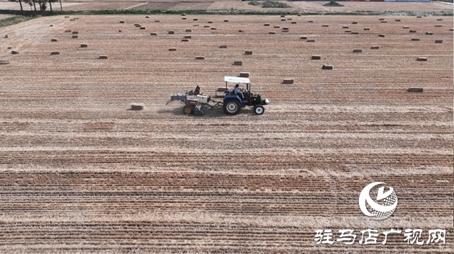 泌陽縣：秸稈循環(huán)利用“變廢為寶”