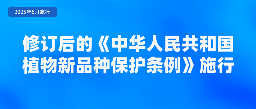 6月起，這些新規(guī)將影響你我生活！