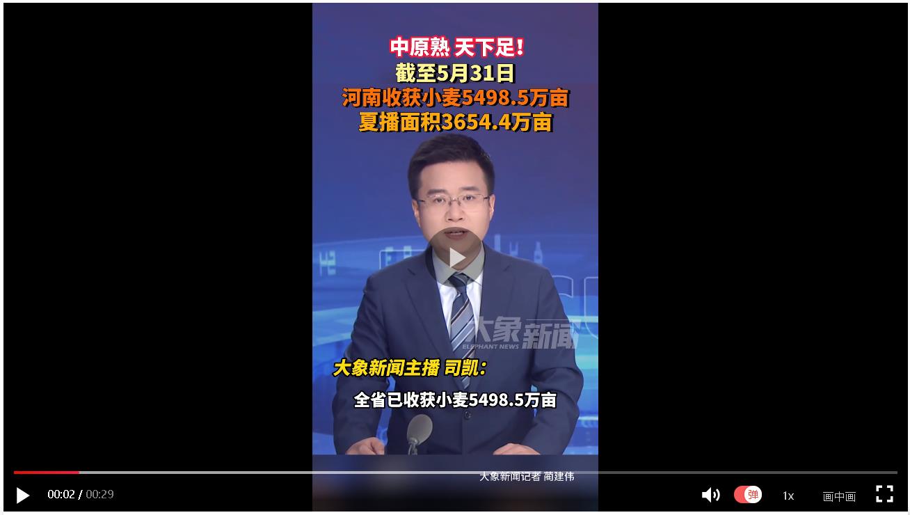 中原熟，天下足！河南已收獲小麥5498.5萬畝