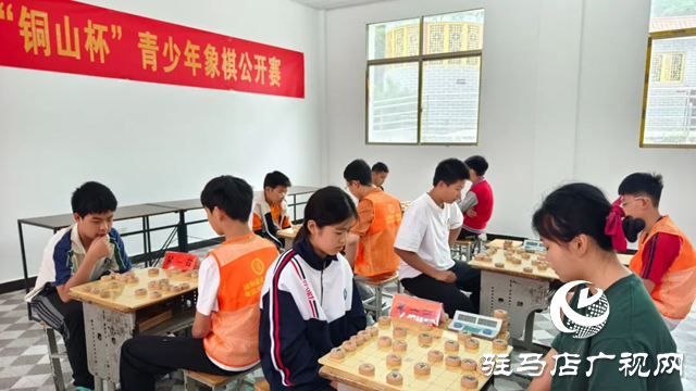 泌陽(yáng)縣舉行第一屆青少年象棋公開賽