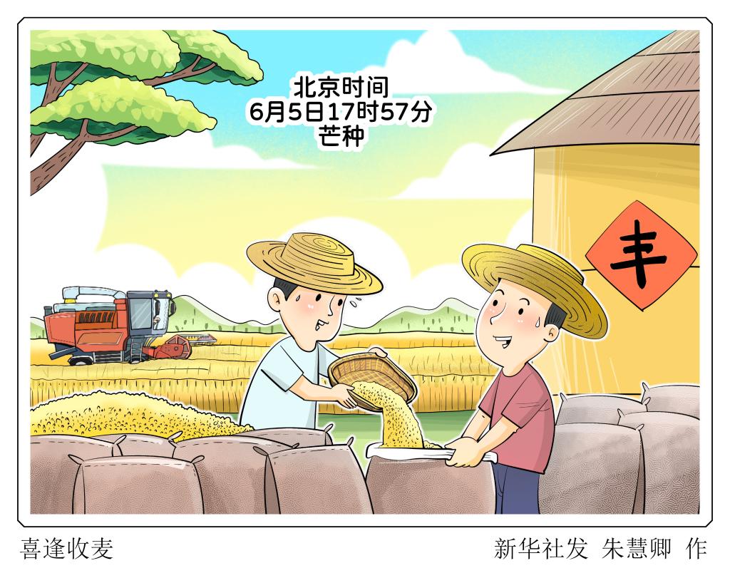 芒種時節(jié)多濕熱 健脾祛濕清心火