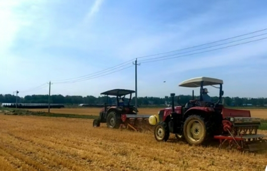 泌陽(yáng)縣郭集鎮(zhèn)：玉米大豆間作增效 科技賦能穩(wěn)糧增產(chǎn)