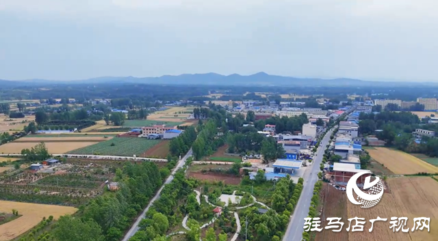 泌陽縣盤古鄉(xiāng)：特色種養(yǎng)繪就鄉(xiāng)村振興新圖景