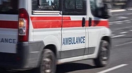 戶外小心蛇出沒！被毒蛇咬傷怎么辦？