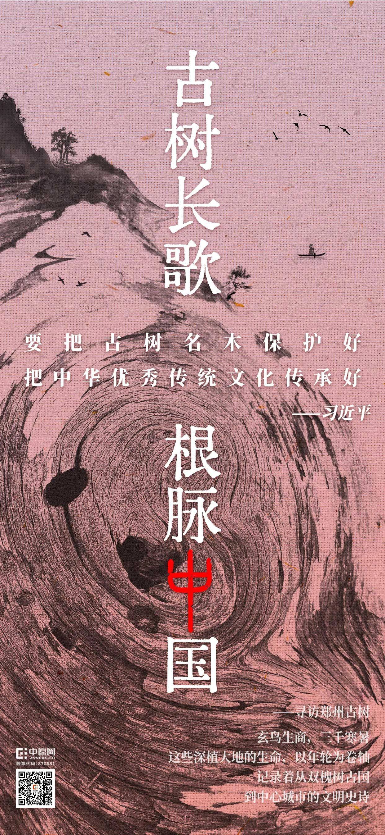 把古樹唱成歌，“古樹長(zhǎng)歌”策劃引發(fā)“薦樹”熱潮