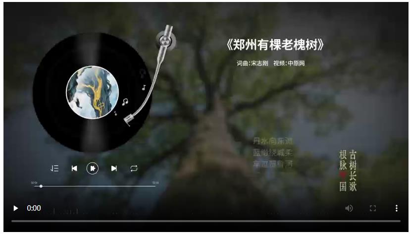 把古樹唱成歌，“古樹長(zhǎng)歌”策劃引發(fā)“薦樹”熱潮
