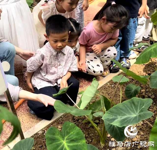 踐行《學(xué)前教育法》書寫育人新篇章