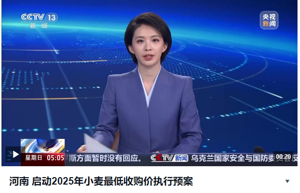 河南 啟動2025年小麥最低收購價執(zhí)行預案