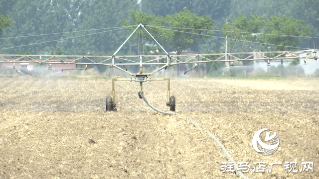 上蔡縣：科技賦能農(nóng)業(yè)顯成效 智能灌溉助秋糧穩(wěn)產(chǎn)