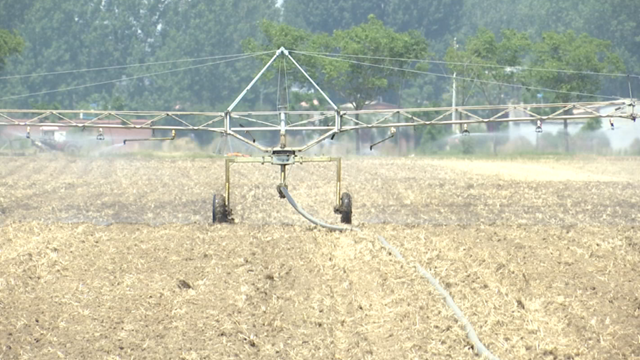 上蔡縣：科技賦能農(nóng)業(yè)顯成效 智能灌溉助秋糧穩(wěn)產(chǎn)