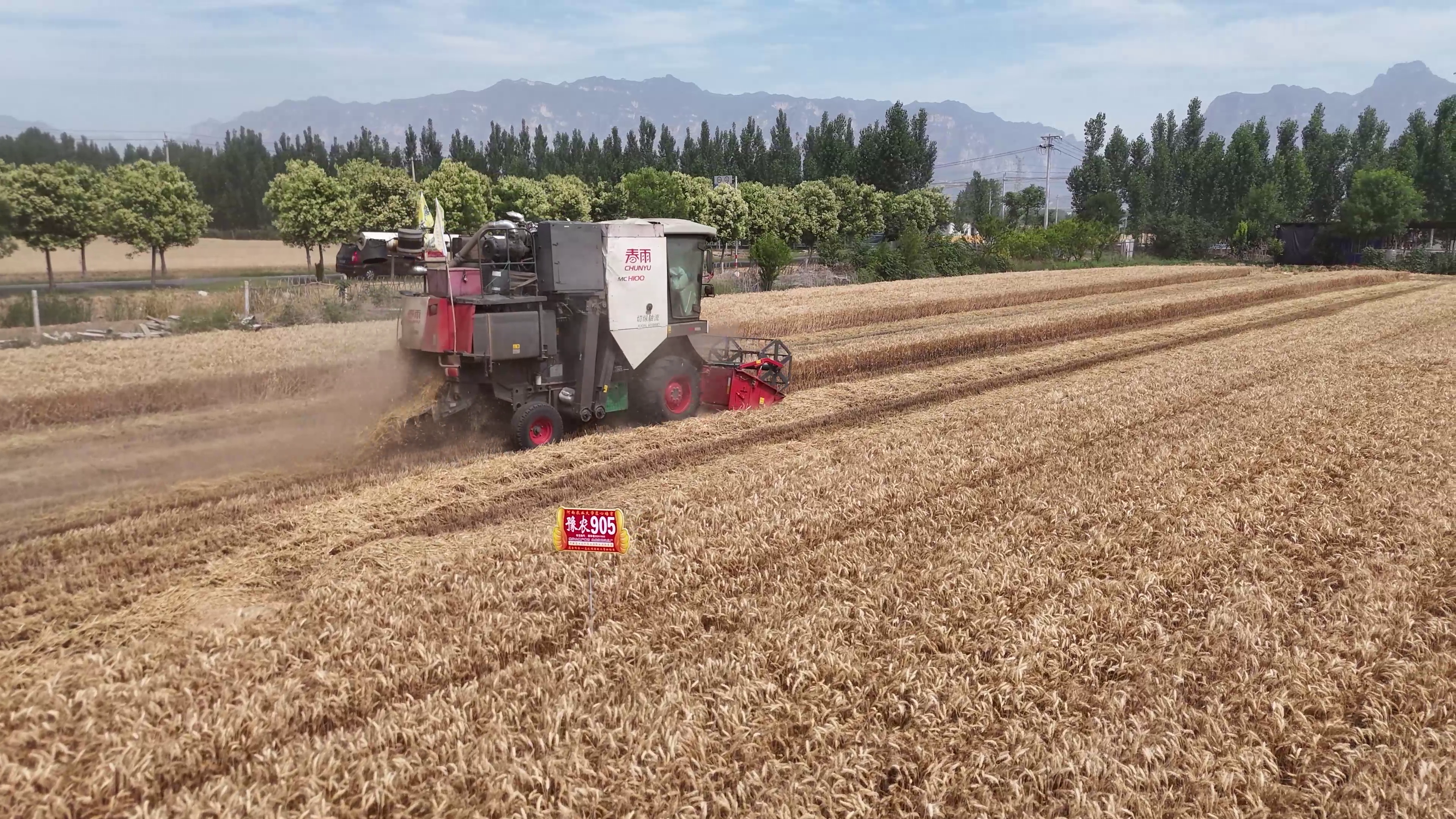 歷時(shí)22天 河南小麥大規(guī)模機(jī)收基本結(jié)束